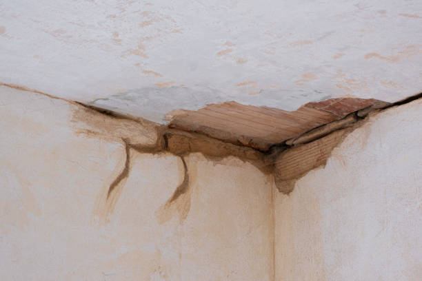 Best Professional water damage repair  in Waunakee, WI