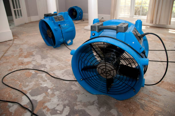 Best Residential water damage restoration  in Waunakee, WI