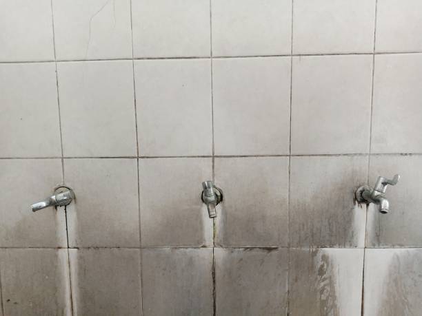 Best Mold removal after water damage  in Waunakee, WI