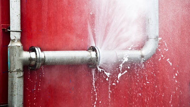 Best Water damage restoration experts  in Waunakee, WI